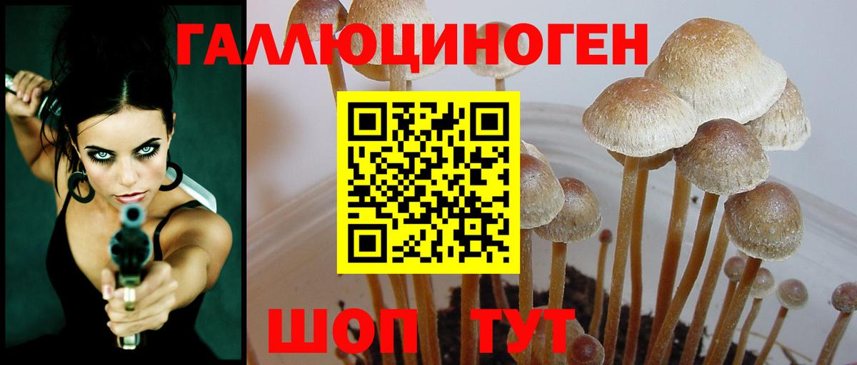 Ялуторовск  Галлюциногенные грибы Cubensis  Вход с VPN 